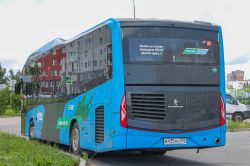 3845 КБ