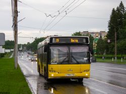 8209 КБ