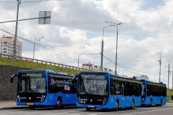 2861 КБ