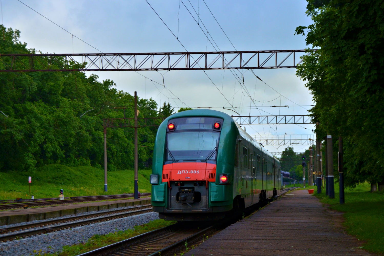 ДП3-005
