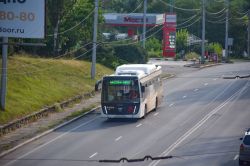 12612 КБ