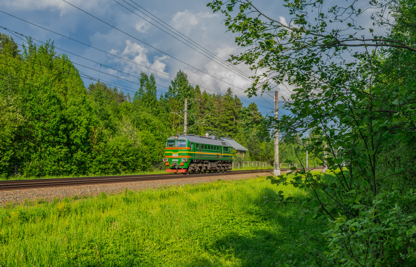 ДМ62-1781