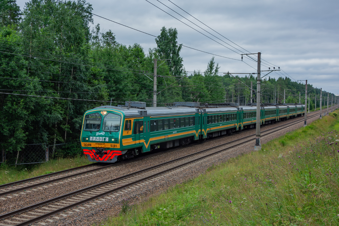 ЭД4М-0381