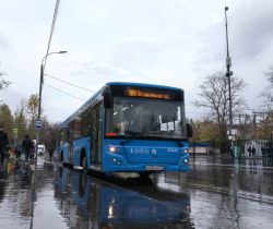 2424 КБ
