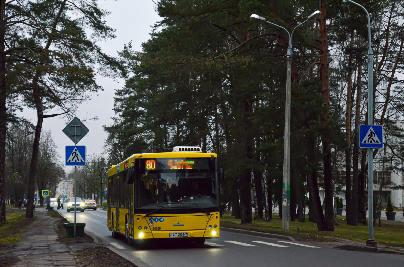 Маз 203.015 №14559