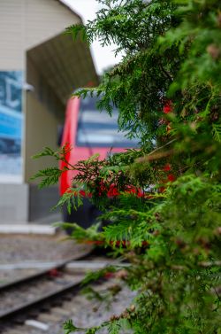 876 КБ