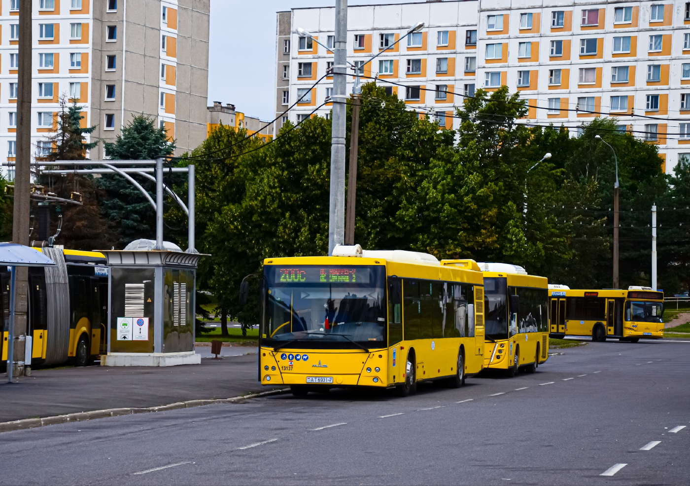 Маз 203.115 №13137