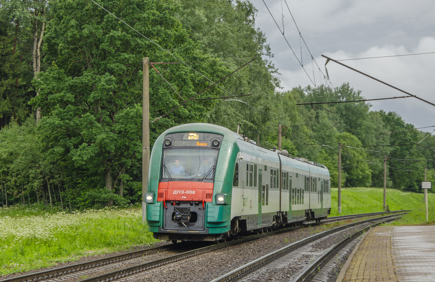 ДП3-006