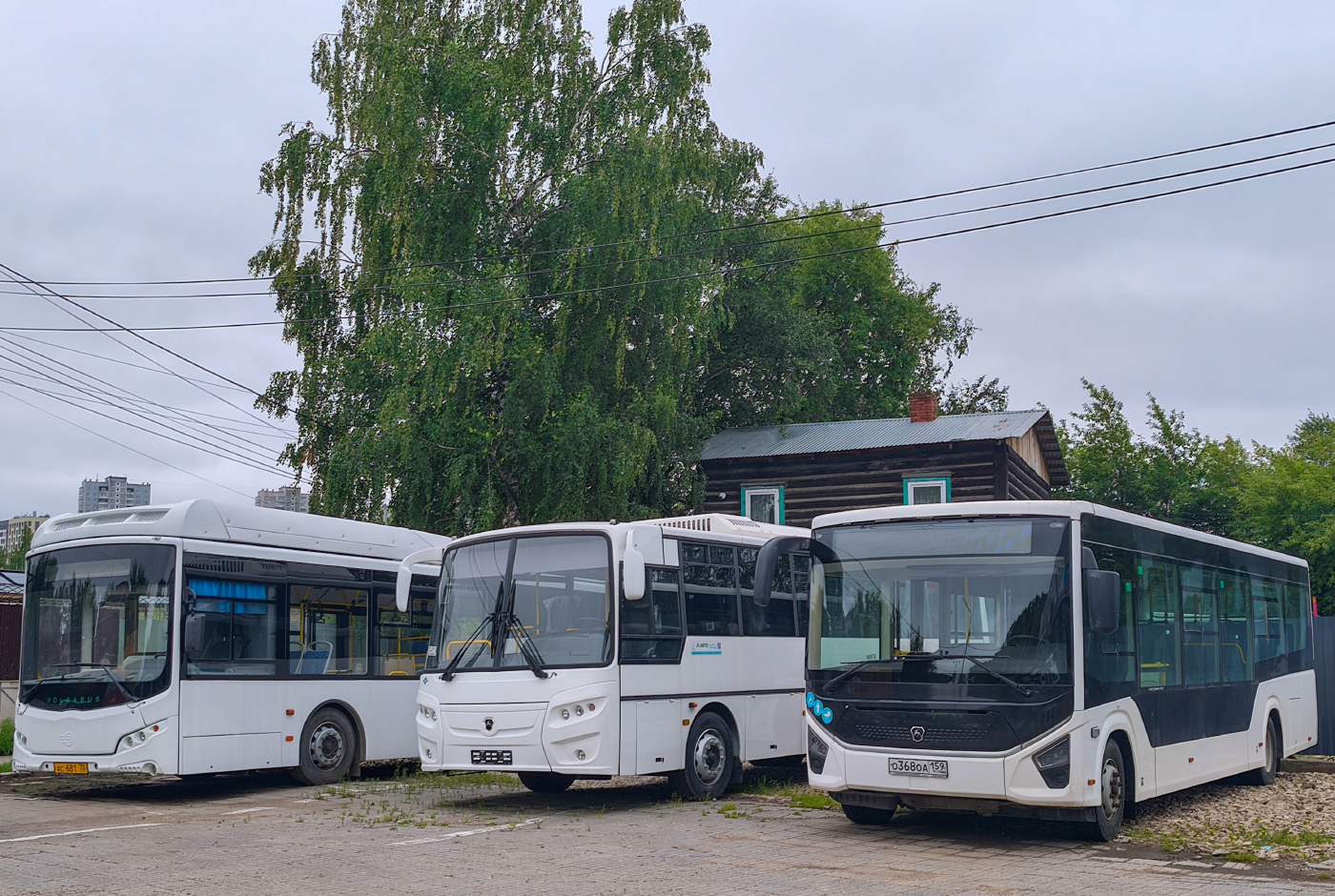 Volgabus-5270.G4 (CNG) № АС 681 72; ПАЗ-422320-04 Citymax 9 № О 368 ОА 159