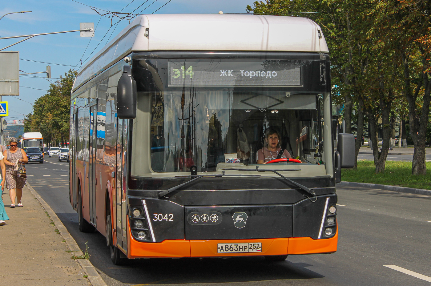 ЛиАЗ-6274 №А863нр 252