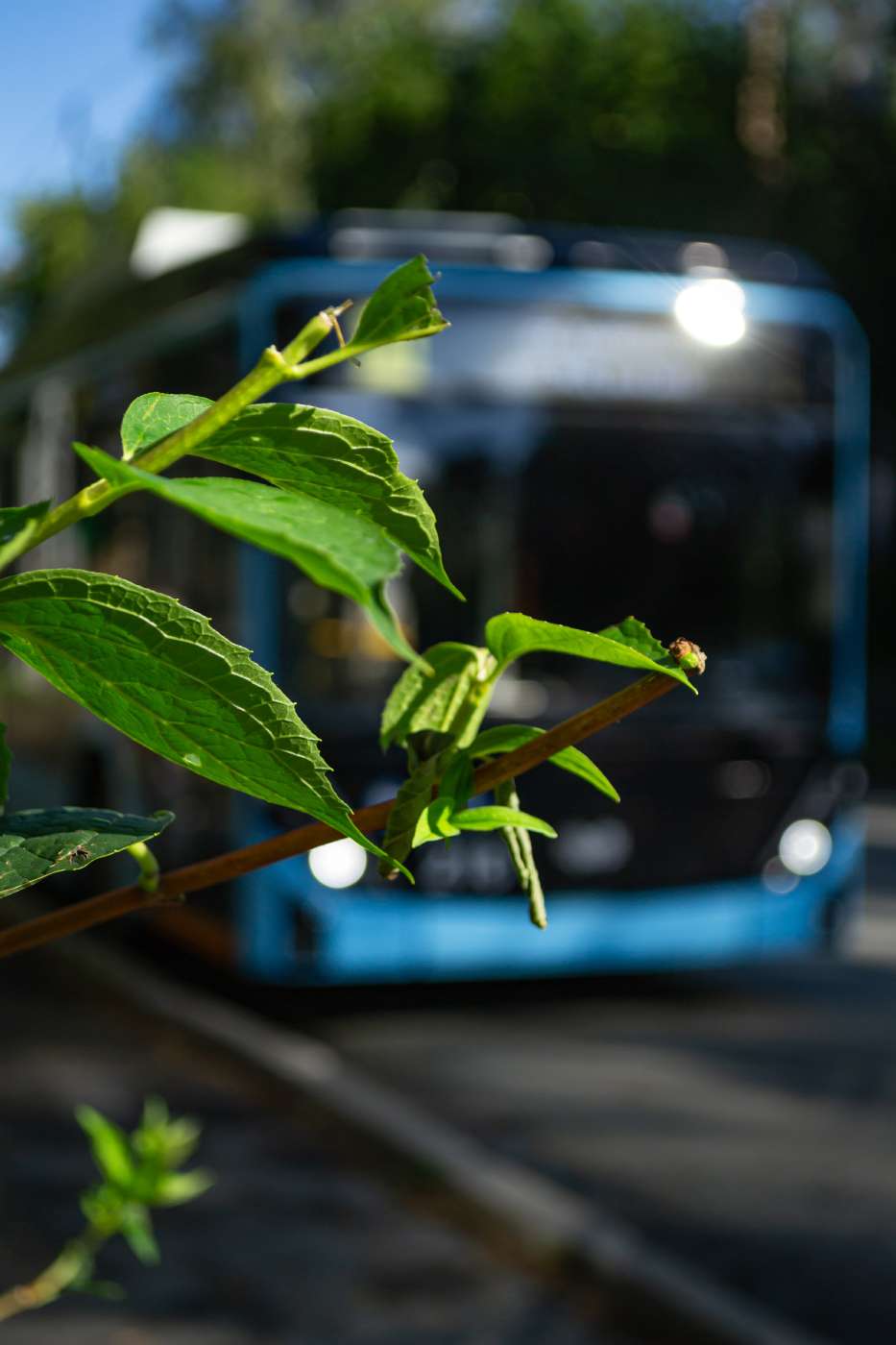 БКМ 32100D «Ольгерд» №218