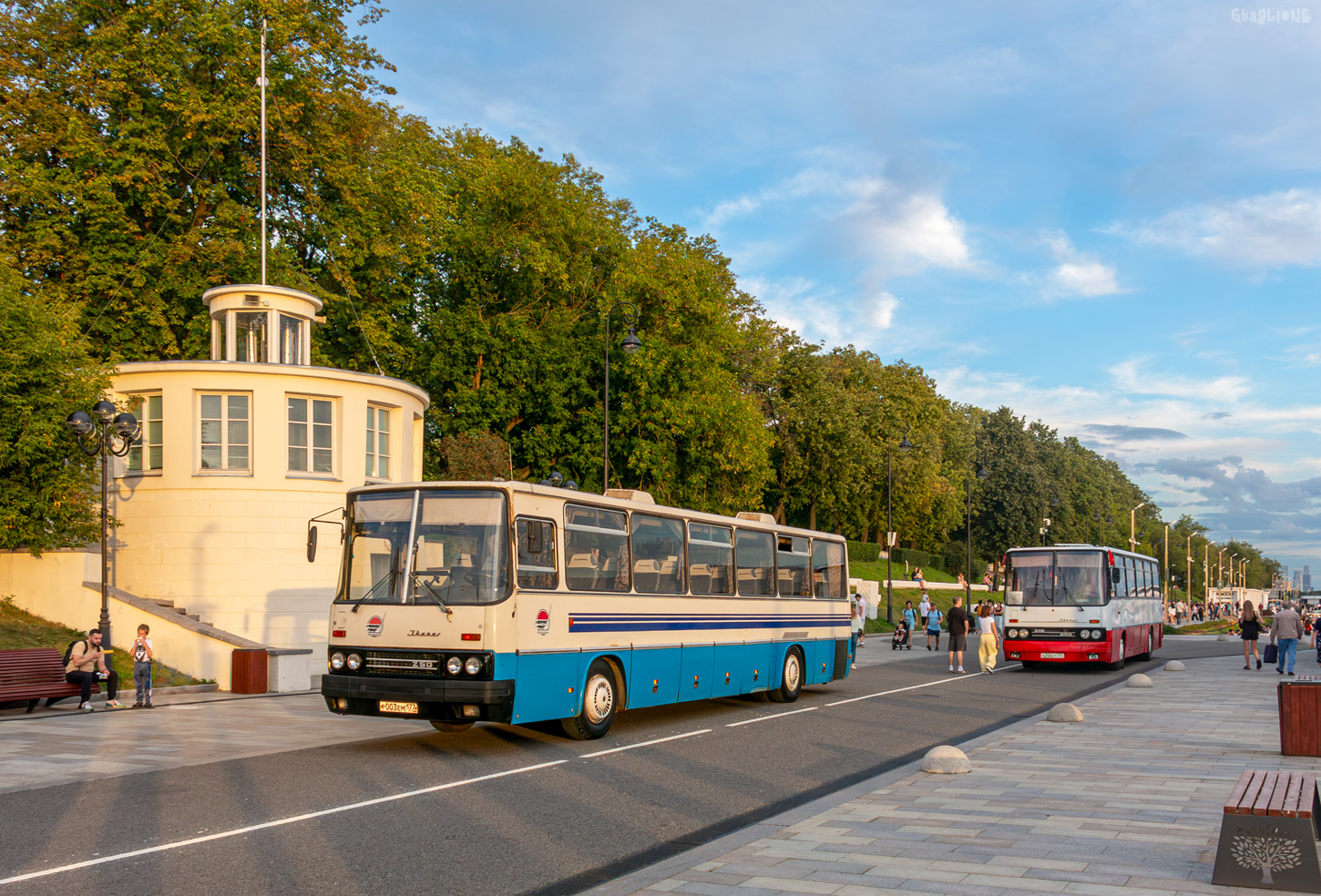 Ikarus 250.95 № Р 003 ЕМ 177; Ikarus 256.54 № О 256 СТ 797