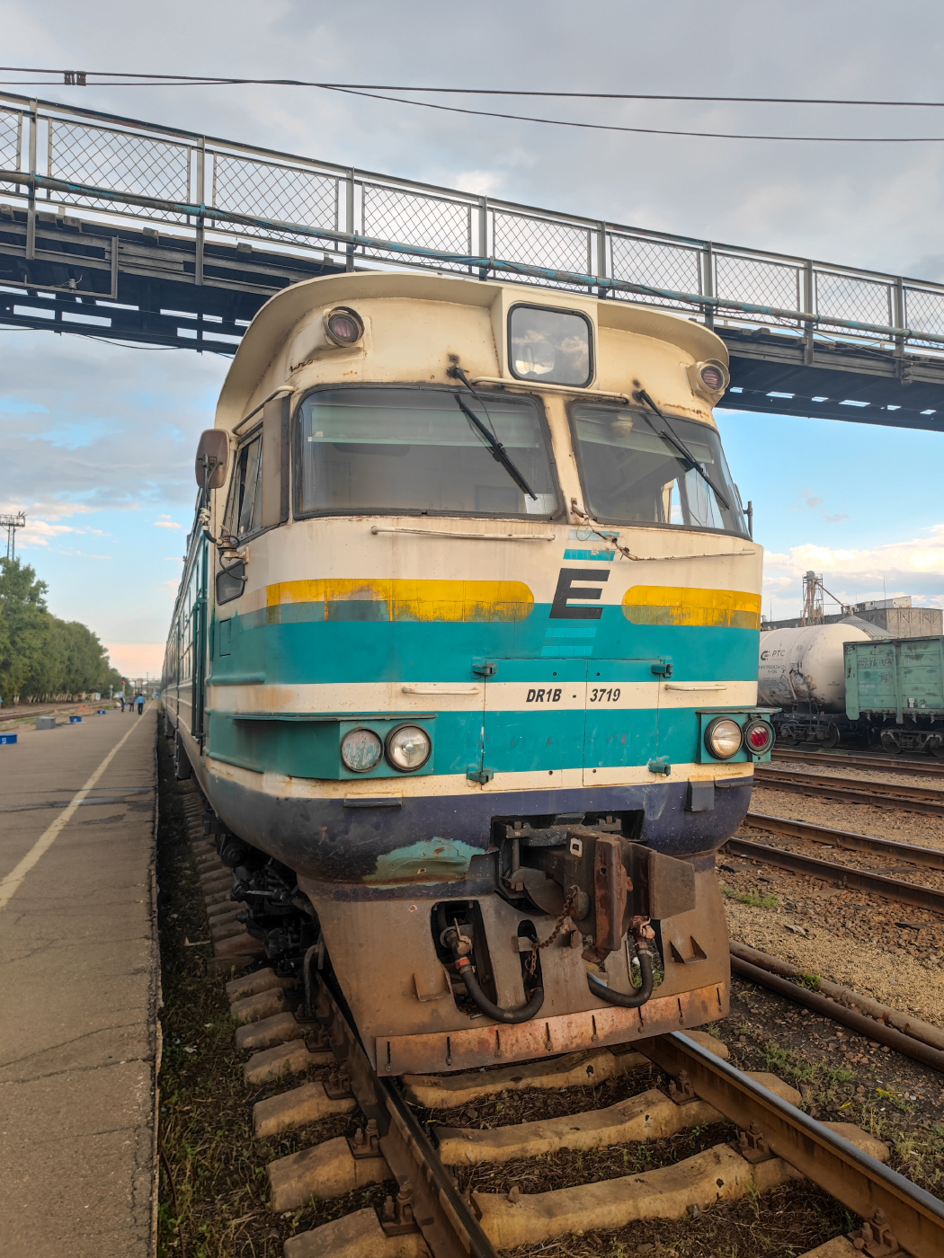 DR1B-3719