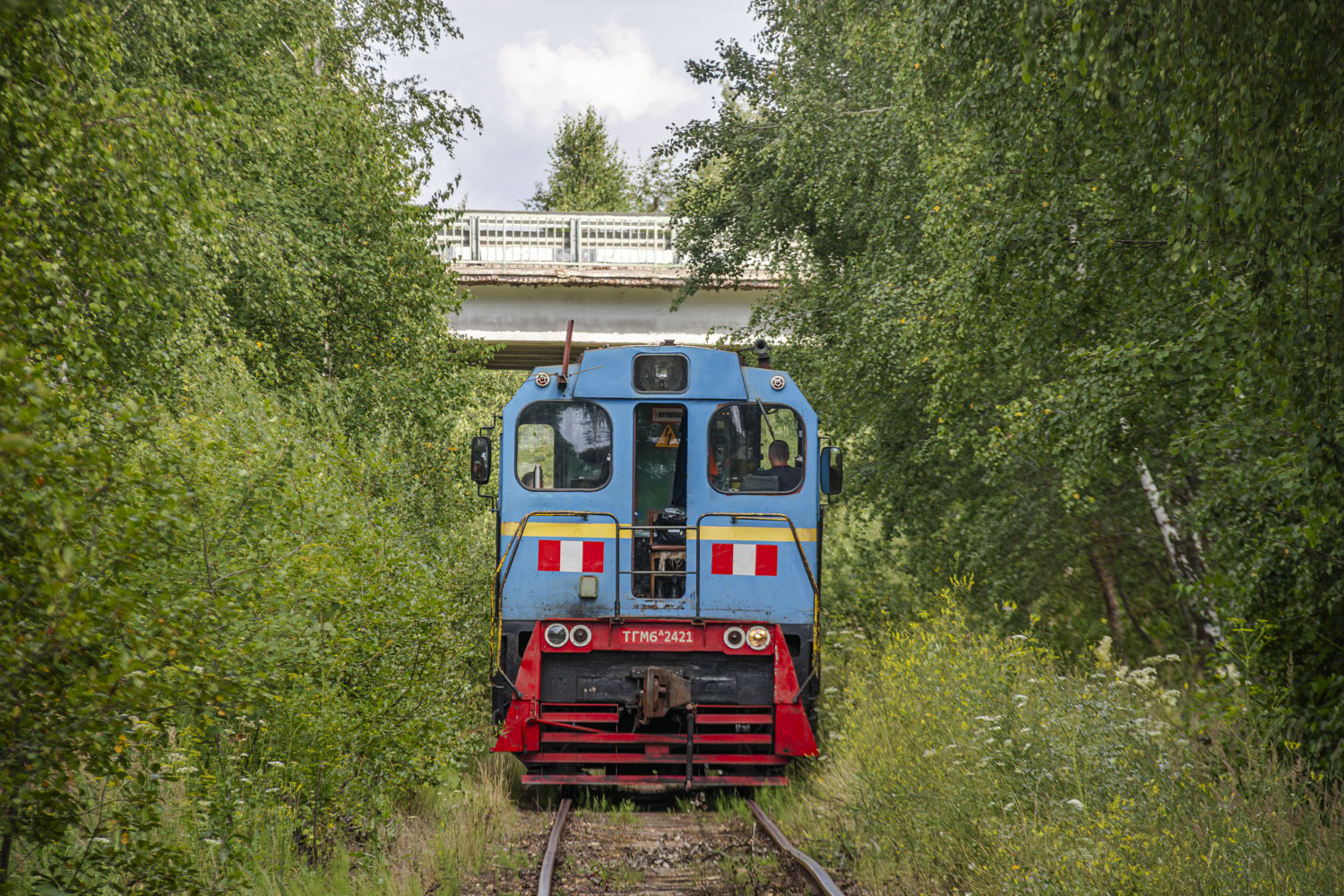 ТГМ6А-2421