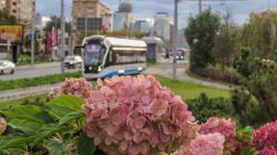 Фотозарисовки