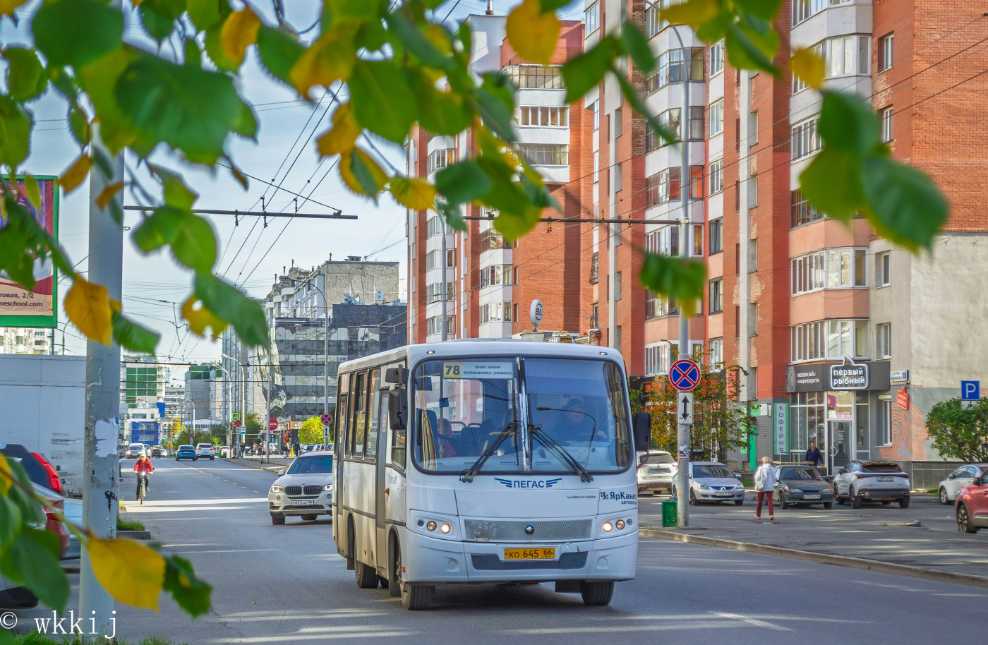 ПАЗ-320402-05 «Вектор» № КО 645 66