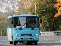 764 КБ
