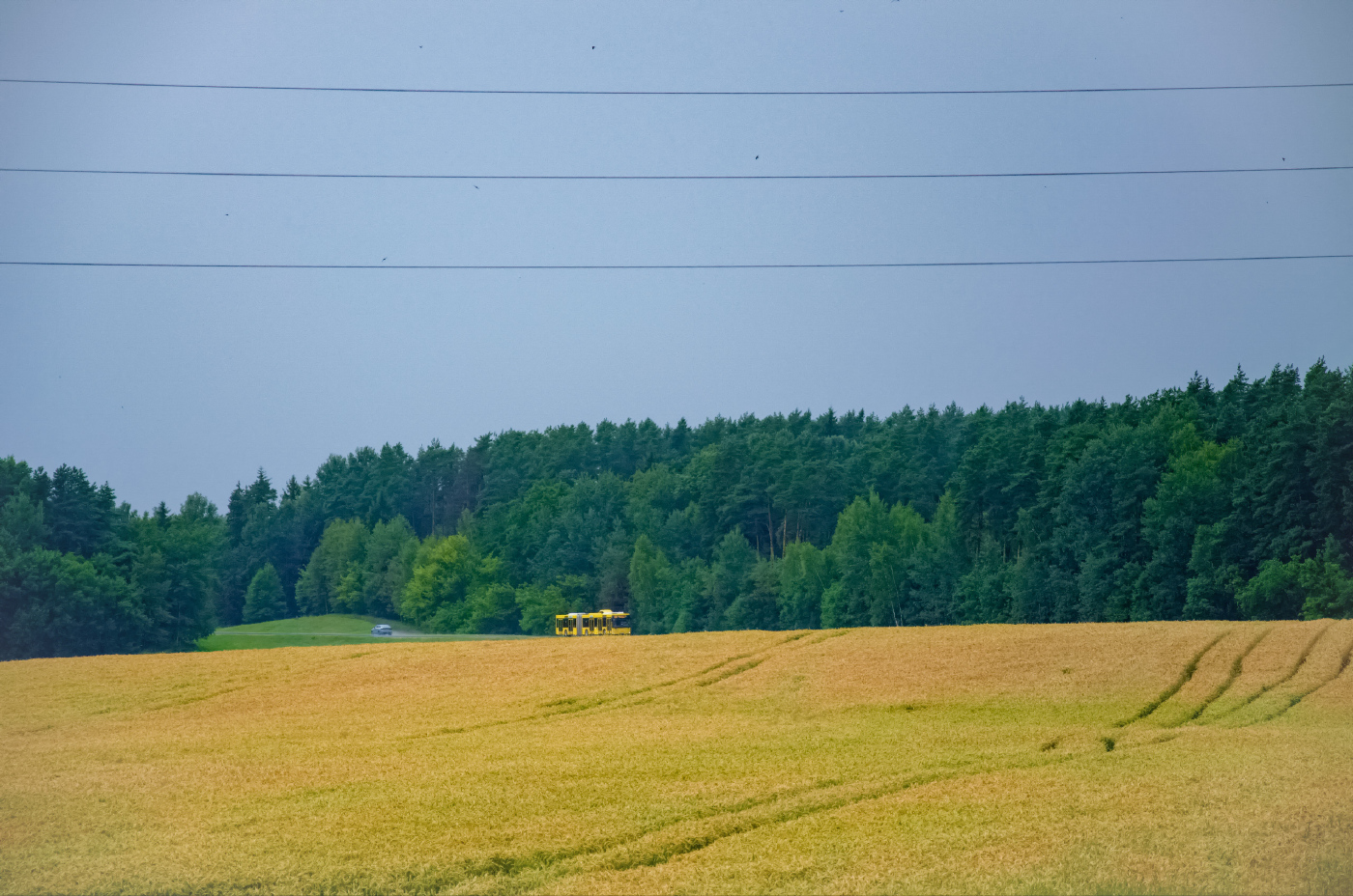 Фотозарисовки; Маз 215.069 № 14583