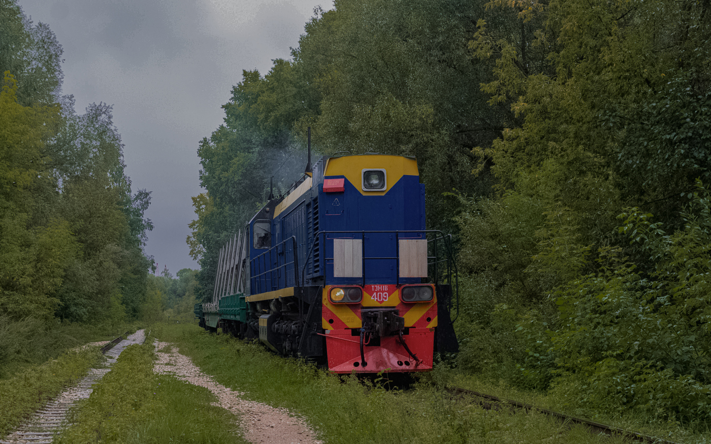 ТЭМ18-409