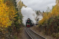 П36-0120