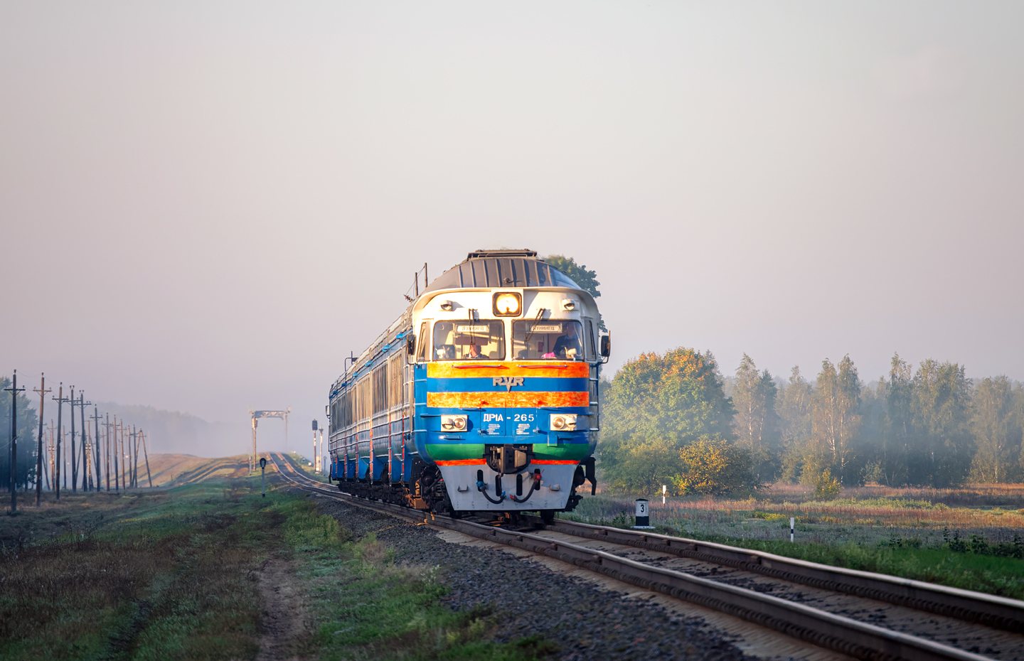 ДР1А-265