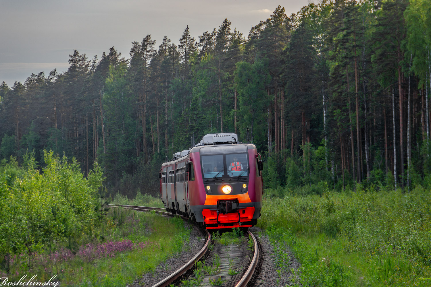 РА2-101