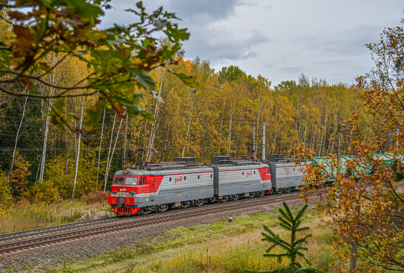 ВЛ11М-307
