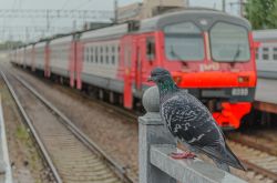  КБ